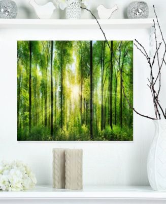 Design Art Designart 'Forest With Rays Of Sun Panorama' Landscape Metal ...