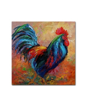 Trademark Global Marion Rose 'mr T Rooster' Canvas Art In Multi