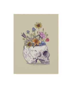 Trademark Global Rachel Caldwell 'half Skull Flowers' Canvas Art In Multi