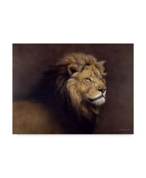 Trademark Global Harro Maass 'lion Male' Canvas Art In Multi