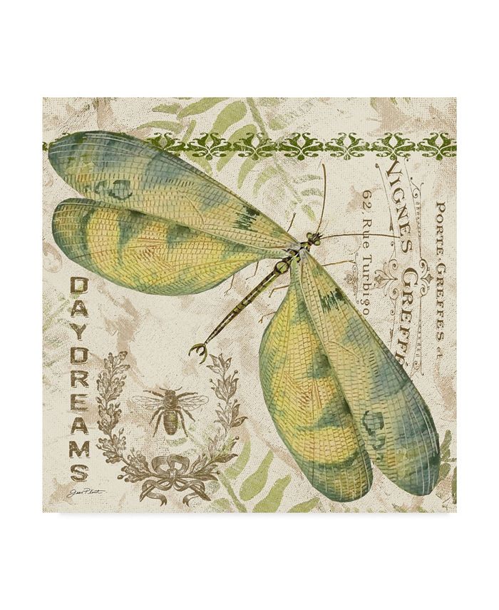 Trademark Global Jean Plout 'Dragonfly Daydreams 5' Canvas Art - 35