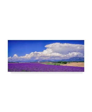 Trademark Global Michael Blanchette Photography 'cloud Bank Over Lavender Panorama' Canvas Art In Multi
