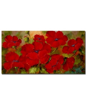 Trademark Global Rio, 'poppies' Canvas Art In Multi