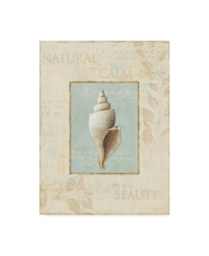 Trademark Global Lisa Audit 'soothing Words Shells I' Canvas Art In Multi