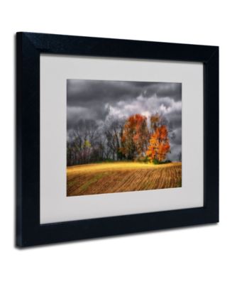 Trademark global lois bryan autumn field matted framed art 14 x 11