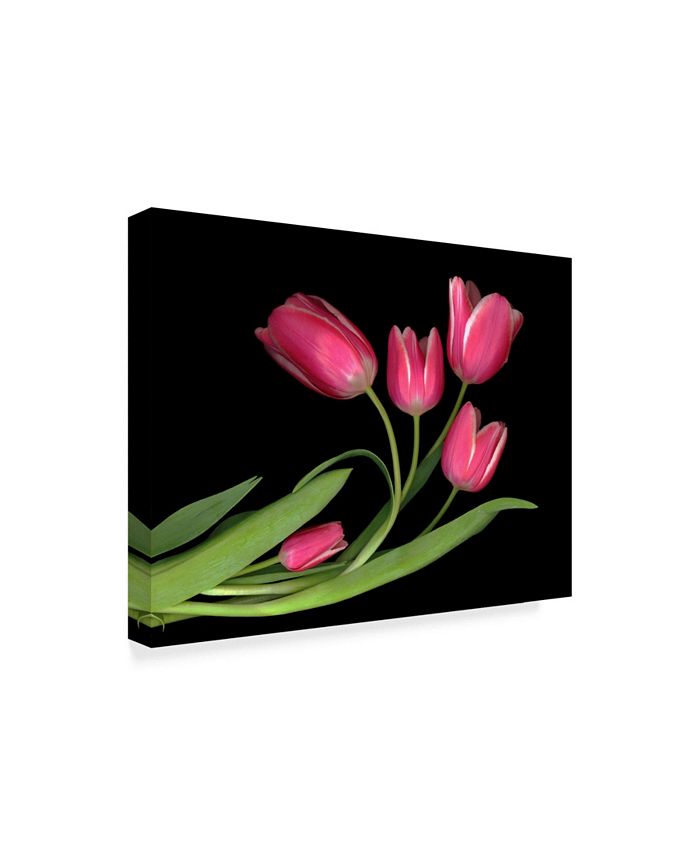 Trademark Global Susan S. Barmon 'Tulips 3' Canvas Art - 14