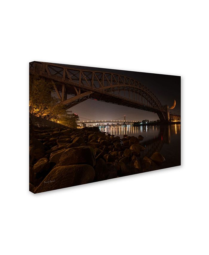 Trademark Global David Ayash 'Hells Gate and RFK Bridge - NYC' Canvas ...