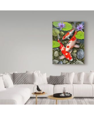 Howard Robinson 'Koi Under Lily Pads' Canvas Art - 24" x 32"