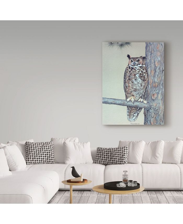 Trademark Global Rusty Frentner 'Owl Two' Canvas Art - 24