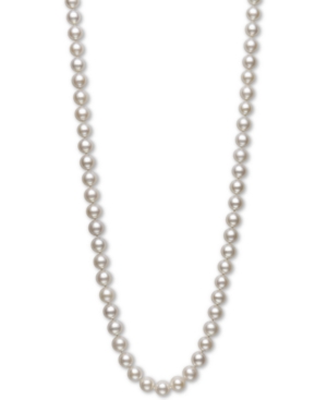 image of Belle de Mer Aa+ 22