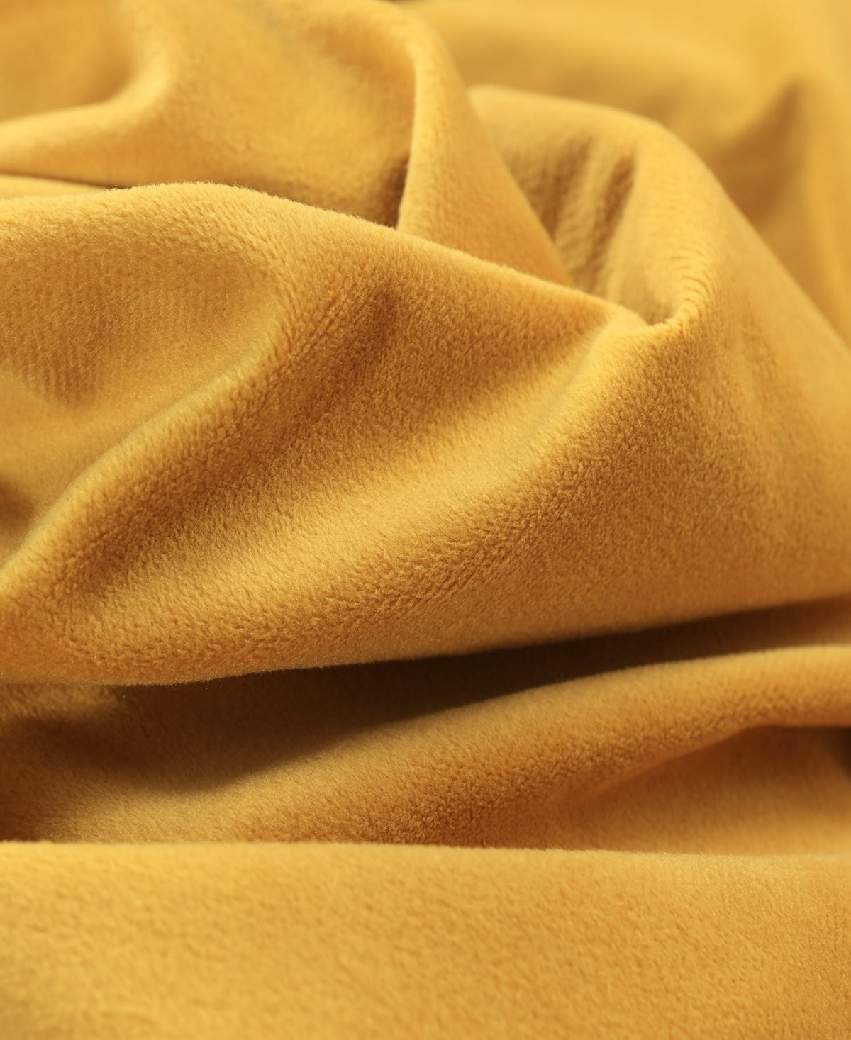 Half Price Drapes Fool's Gold Signature Velvet Blackout Curtain In Gold