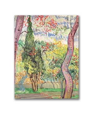 Trademark Global Vincent Van Gogh 'the Garden Of St. Pauls Hospital' Canvas Art In Multi