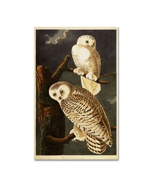 Trademark Global John James Audubon Snowy Owl Canvas Art 47 X