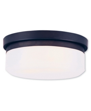 Livex Stratus 2-Light Ceiling Mount/ Wall Mount
