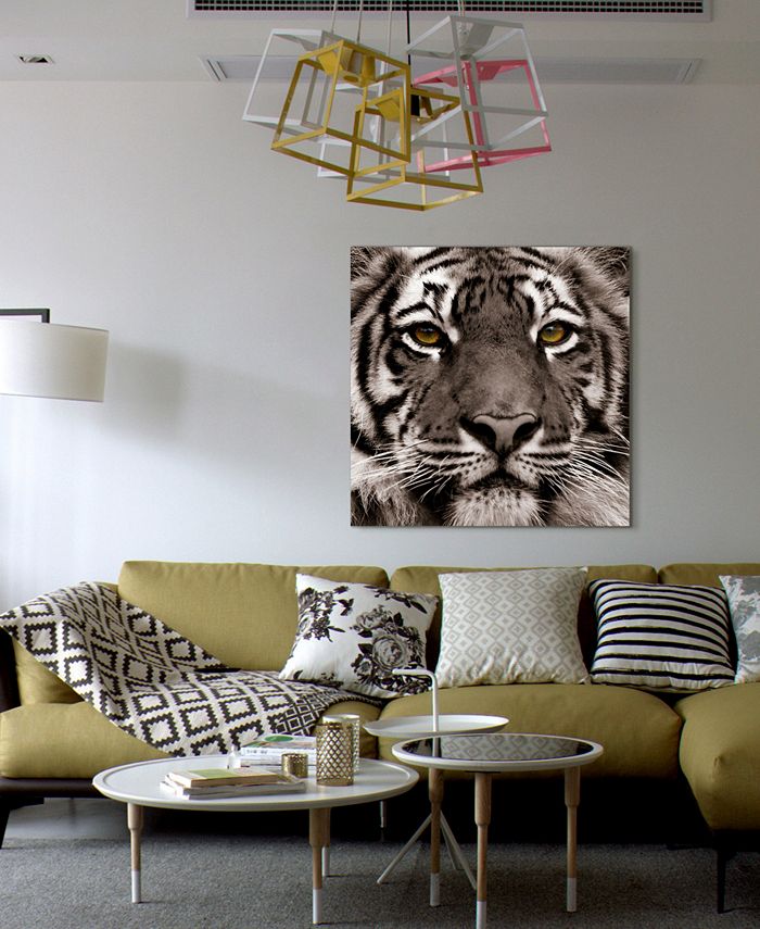 Empire Art Direct 'Eye of The Tiger' Frameless Free Floating Tempered ...