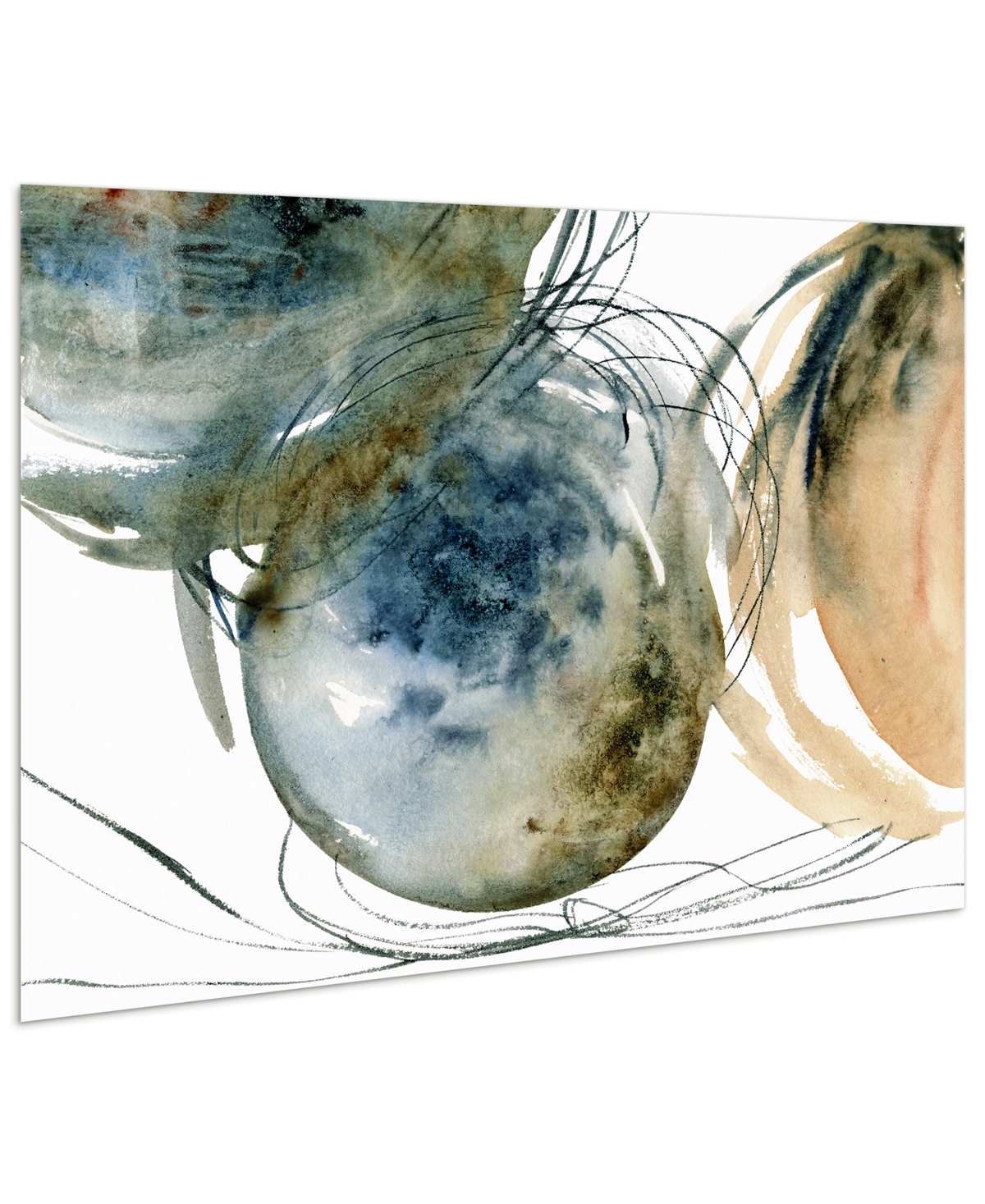 Empire Art Direct 'Hibernation Ii' Frameless Free Floating Tempered Art Glass Wall Art - 32''