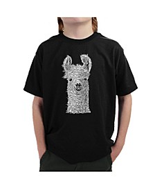Big Boy's Word Art T-Shirt - Llama