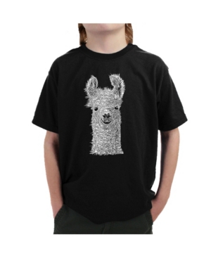 La Pop Art Big Boy's Word Art T-Shirt - Llama