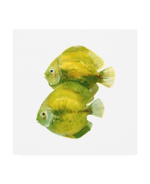 Trademark Global Emma Scarvey Discus Fish Ii Canvas Art In Multi