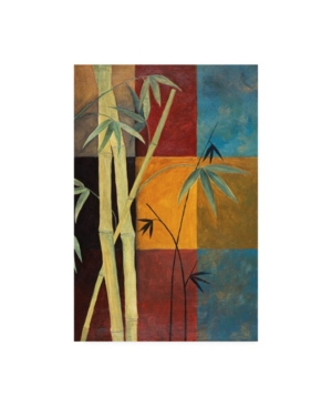 Trademark Global Pablo Esteban Bamboo On Colored Squares Canvas Art In Multi