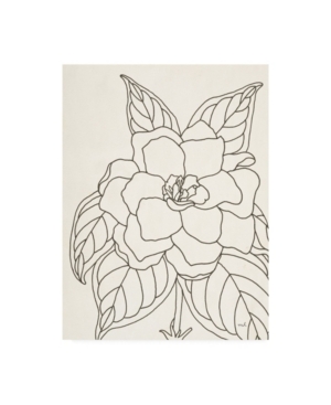 Trademark Global Moira Hershey Gardenia Line Drawing Crop Canvas Art In Multi