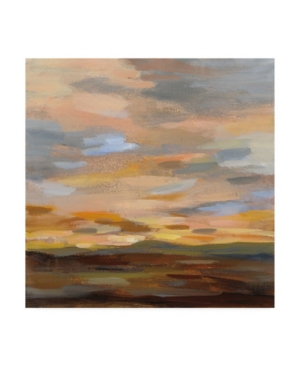 Trademark Global Silvia Vassileva High Desert Sky Iii Canvas Art In Multi