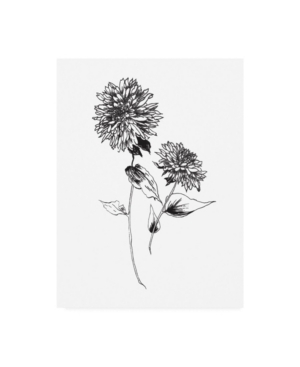 Trademark Global Wild Apple Portfolio Sketchbook Flowers On White Iv Canvas Art In Multi