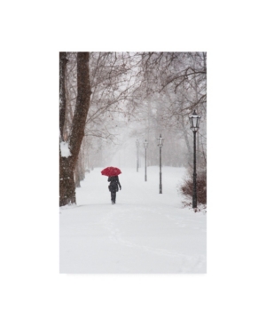 Trademark Global Stefano Cors Winter Rose Canvas Art In Multi