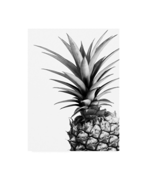 Trademark Global Lexie Gree Pineapple (bw) Canvas Art In Multi