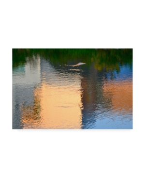 Trademark Global Ulpi Gonzale Reflection On The Iowa River No. 1 Canvas Art In Multi