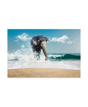 Trademark Global Photoinc Studio Elephant On The Beach Canvas Art In Multi