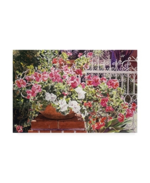 David Lloyd Glover Tangled Terra Cotta Pot Canvas Art - 20