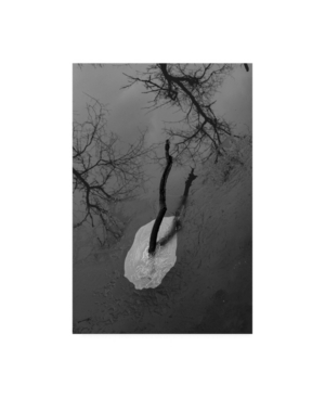 Kurt Shaffer Winter Pond Scene Canvas Art - 20