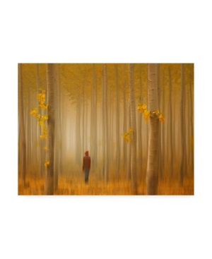 Trademark Global Lydia Jacobs Lost In Autumn Canvas Art In Multi
