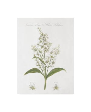Trademark Global Wild Apple Portfolio Botany Book Xi White Green Canvas Art In Multi