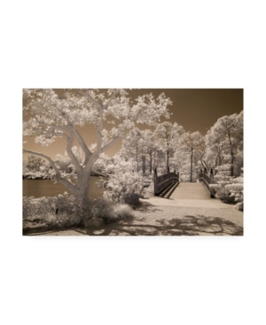 Monte Nagler Bridge and Trees at Japanese Gardens Delray Beach Florida Canvas Art - 20