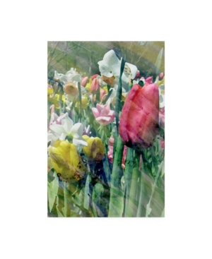 Trademark Global Pam Ilosky Spring At Giverny Iii Canvas Art In Multi