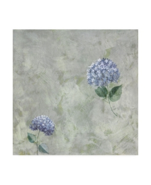 Pablo Esteban Blue Flowers Over Gray 1 Canvas Art - 155