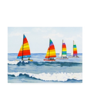 Trademark Global Patrick Sullivan Sail Colors Canvas Art In Multi