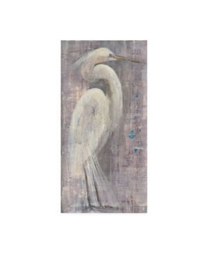 Trademark Global Albena Hristova Coastal Egret I Canvas Art In Multi