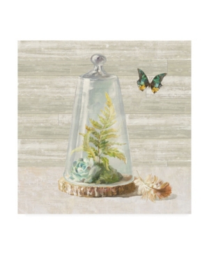Danhui Nai Succulent Garden Iv Canvas Art - 155