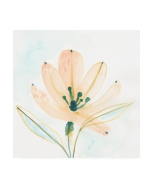 June Erica Vess Garden Essence Vi Canvas Art - 155