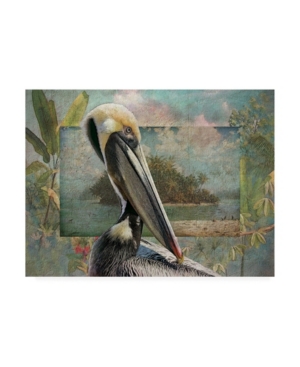 Trademark Global Steve Hunziker Pelican Paradise Ii Canvas Art In Multi