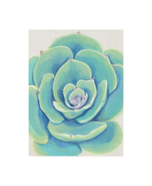 Trademark Global Tim O'toole Pastel Succulent Iv Canvas Art In Multi