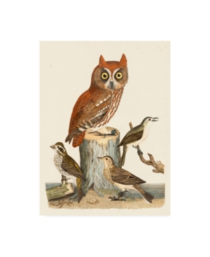 Trademark Global Alexander Wilson Wilson Owls Ii Canvas Art In Multi