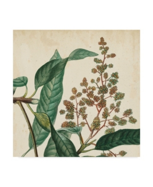 Vision Studio Garden Bounty Ii Canvas Art - 15