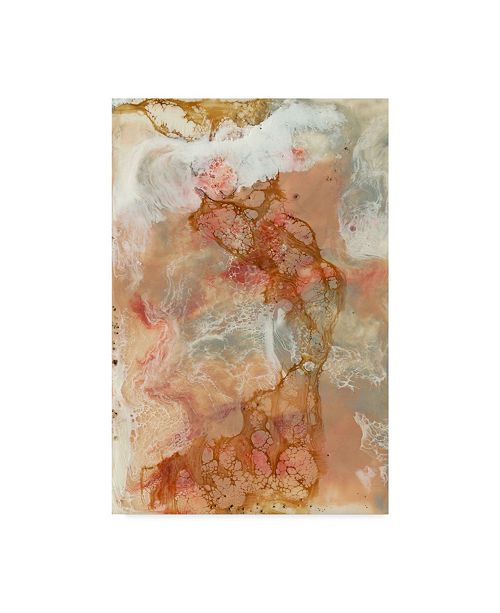 Trademark Global Jennifer Goldberger Coral Lace I Canvas Art 20