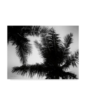 Trademark Global Debra Van Swearingen Palm Tree Looking Up I Canvas Art In Multi