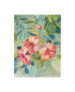 Danhui Nai Hibiscus Garden Iii Canvas Art - 20