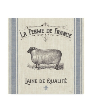 Trademark Global Pela Studio French Farmhouse V Canvas Art In Multi